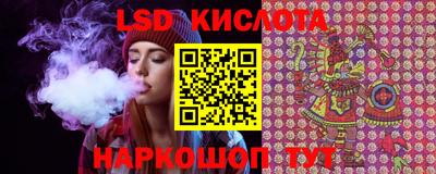 эйфоретик Гатчина