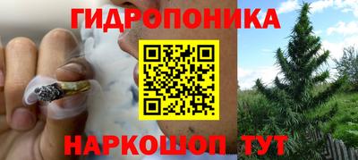 соль курить ск Гай
