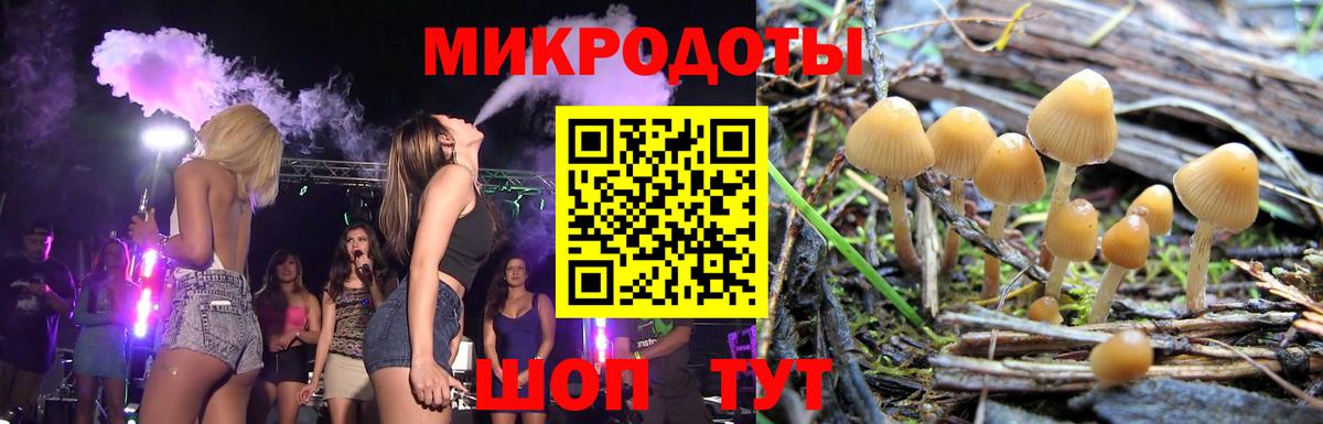 как найти закладки  Галлюциногенные грибы MAGIC MUSHROOMS  Псилоцибиновые грибы мицелий  Вход с VPN  Нововоронеж 